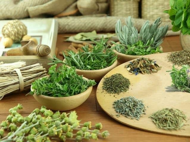 Phytotherapy untuk Potensi