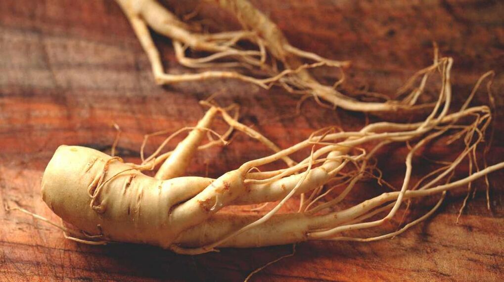 Akar ginseng untuk meningkatkan potensi